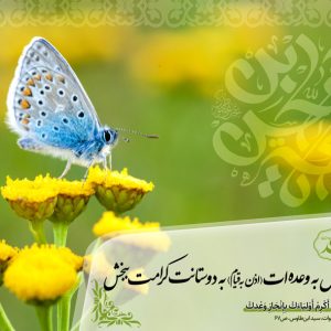 حدیث مهدوی شماره 29