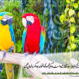 حدیث مهدوی شماره 33